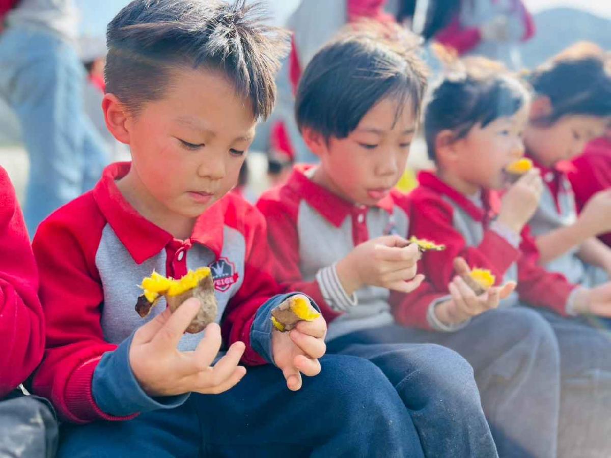 line_album_1150119頤禾園農田體驗_260119_208