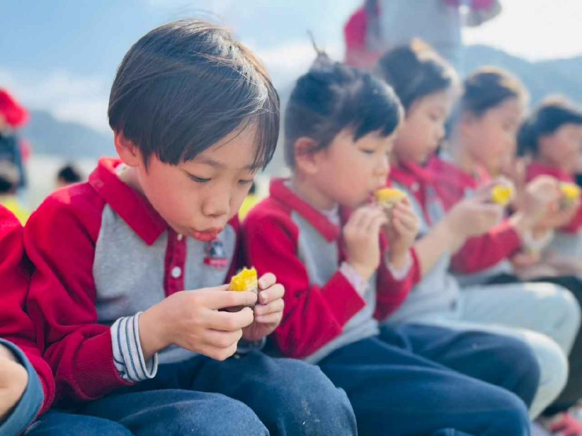 line_album_1150119頤禾園農田體驗_260119_210