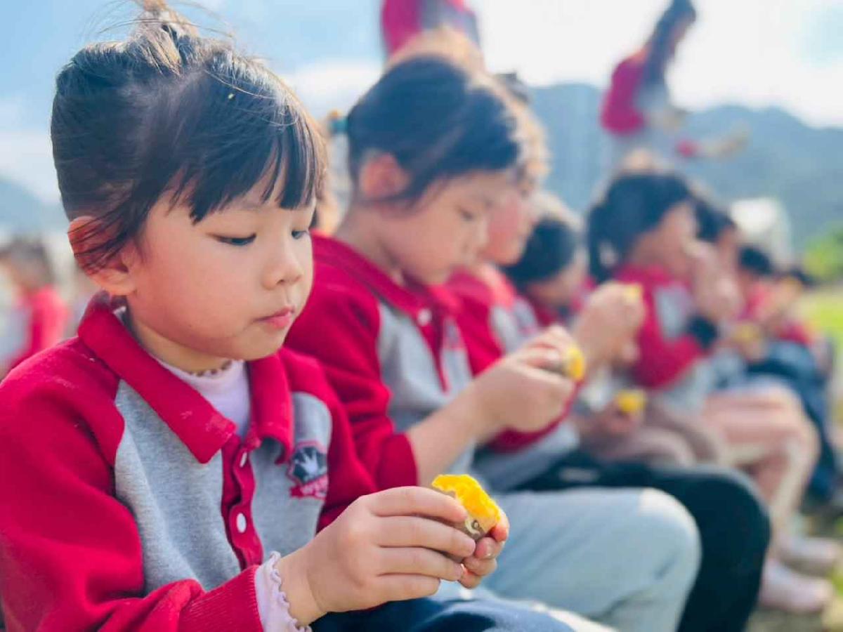 line_album_1150119頤禾園農田體驗_260119_211