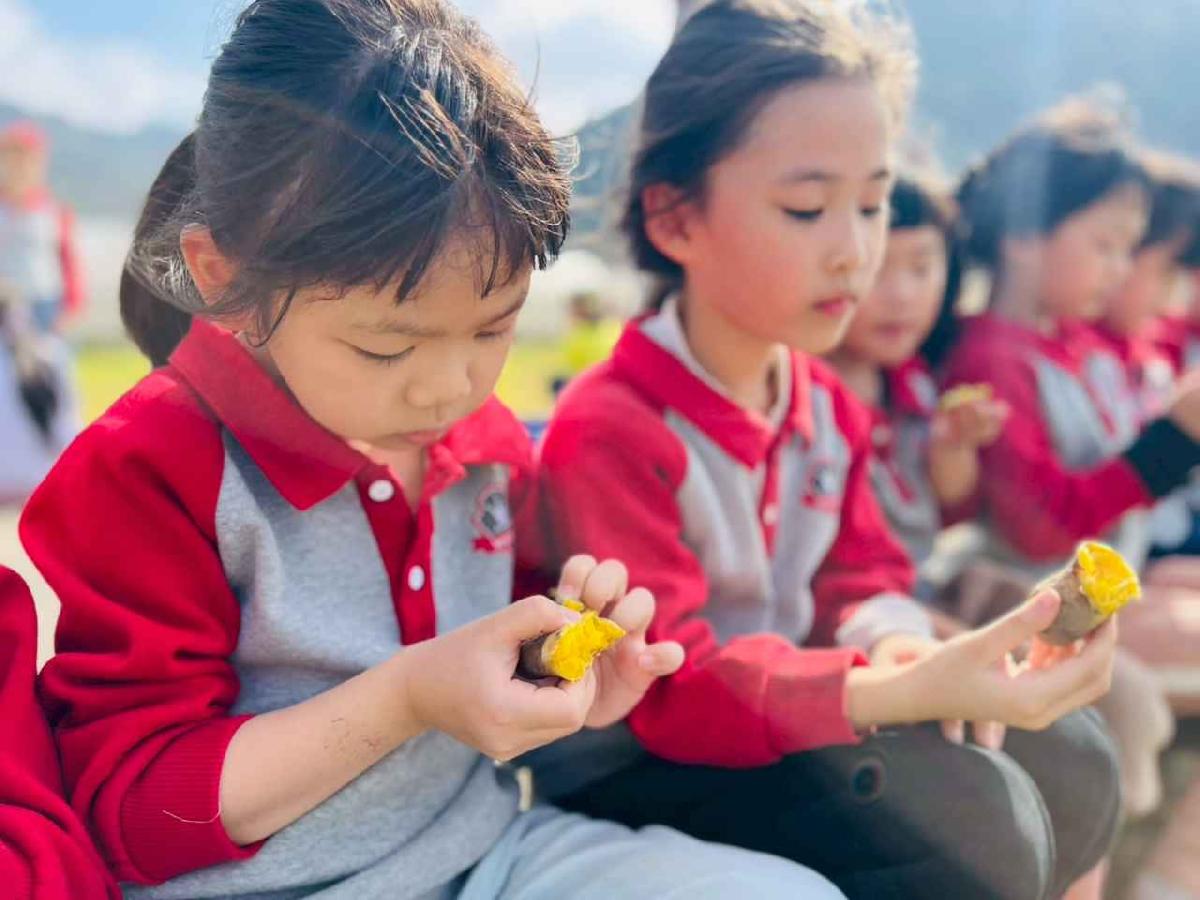 line_album_1150119頤禾園農田體驗_260119_213