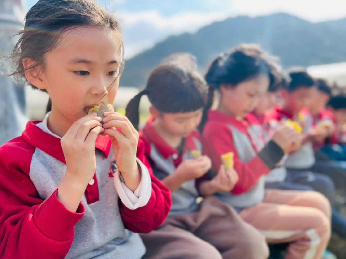 line_album_1150119頤禾園農田體驗_260119_214