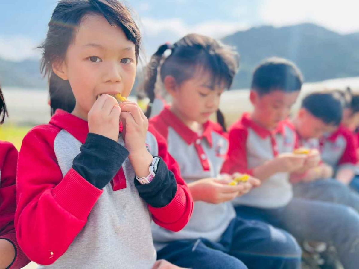 line_album_1150119頤禾園農田體驗_260119_216