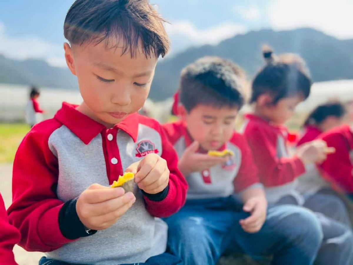 line_album_1150119頤禾園農田體驗_260119_222