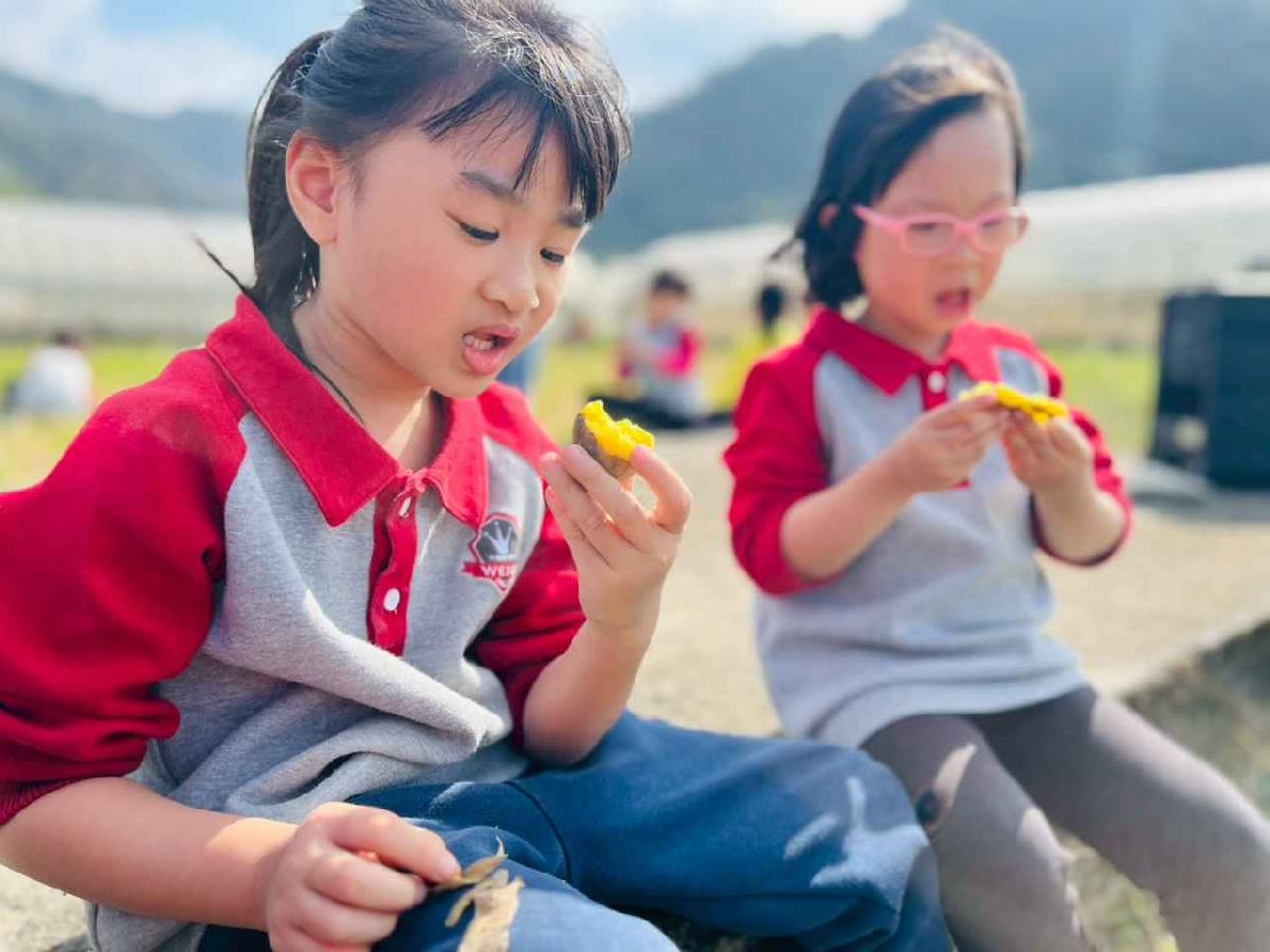 line_album_1150119頤禾園農田體驗_260119_223