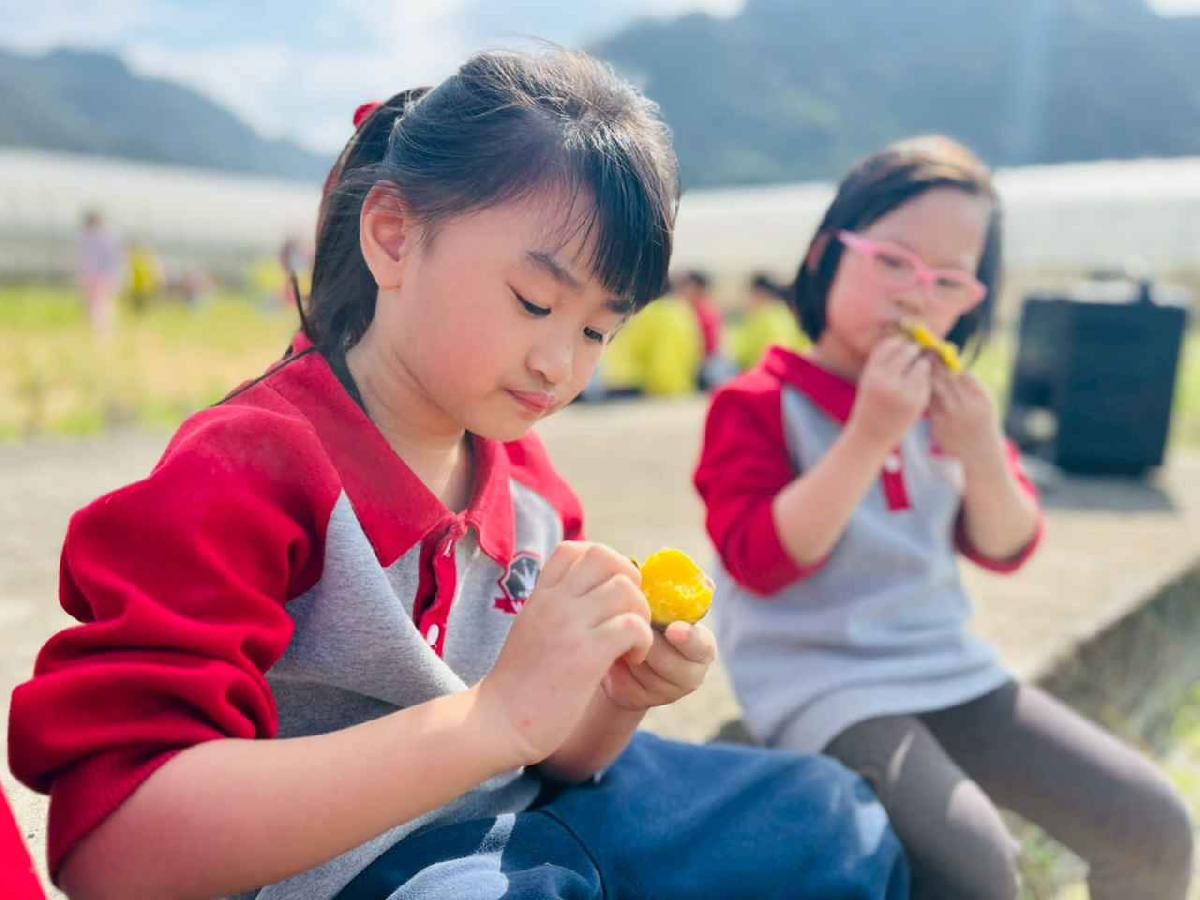 line_album_1150119頤禾園農田體驗_260119_225