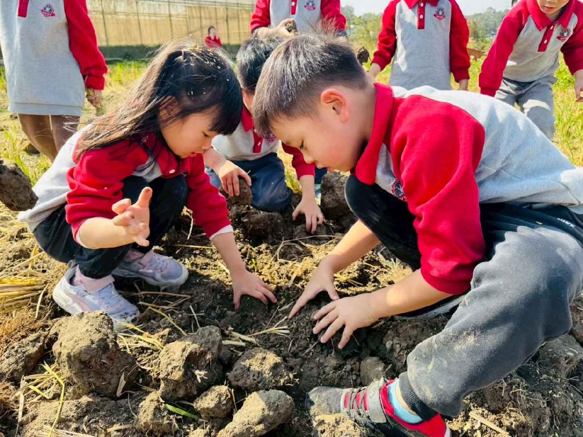 ★農田體驗焢窯趣