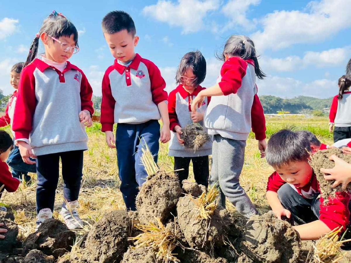 line_album_1150119頤禾園農田體驗_260119_170