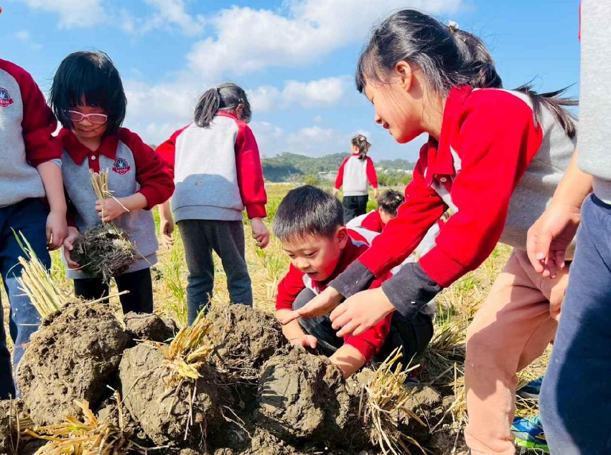 line_album_1150119頤禾園農田體驗_260119_171