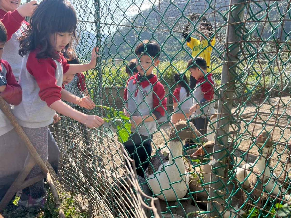 line_album_1150119頤禾園農田體驗_260119_37