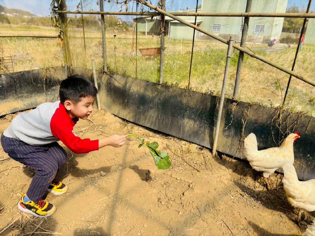 line_album_1150119頤禾園農田體驗_260119_265