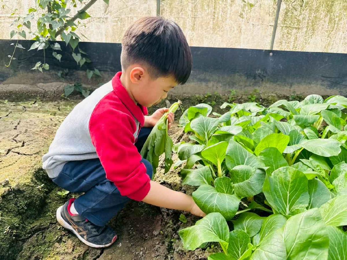 line_album_1150119頤禾園農田體驗_260119_698