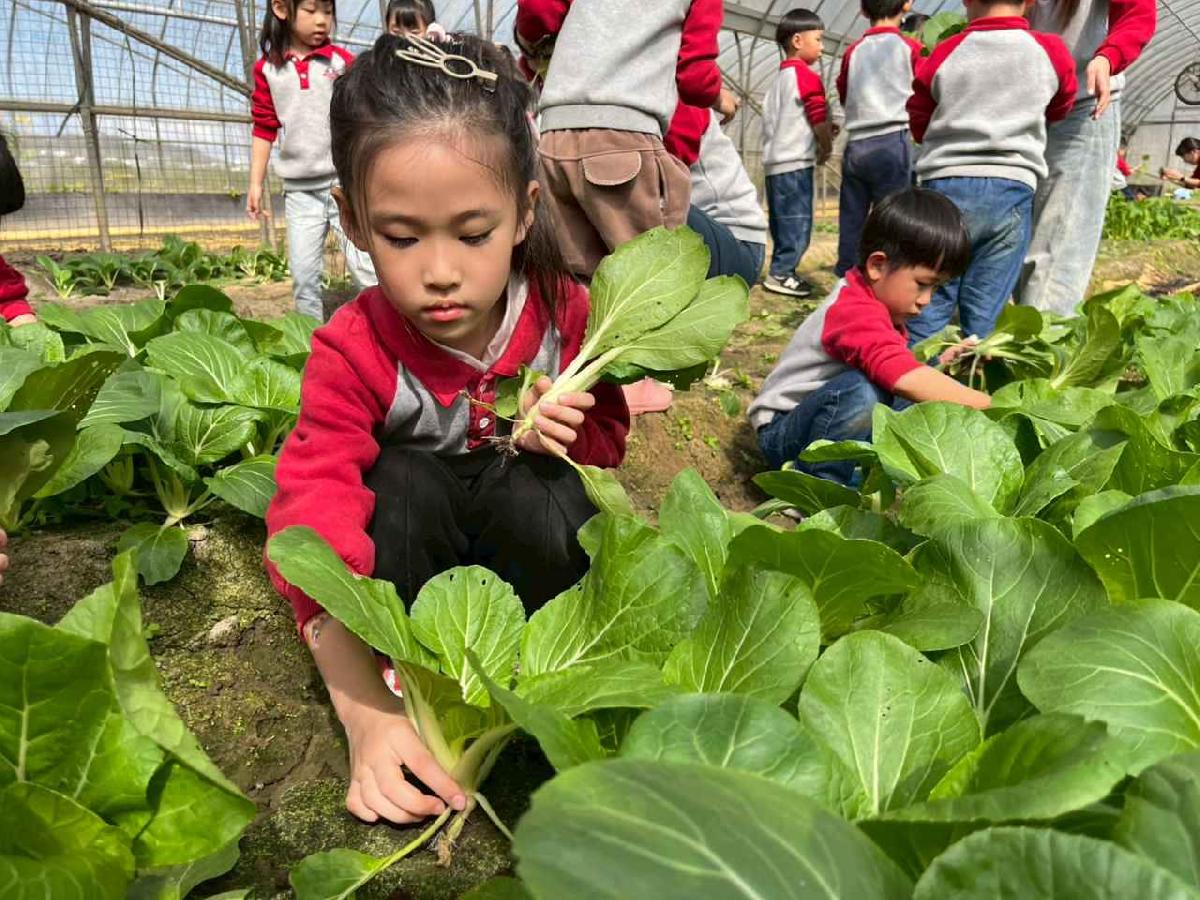 line_album_1150119頤禾園農田體驗_260119_45