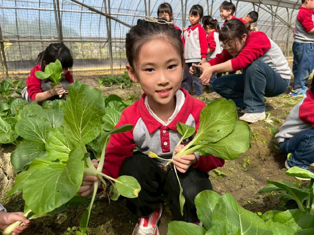 line_album_1150119頤禾園農田體驗_260119_48