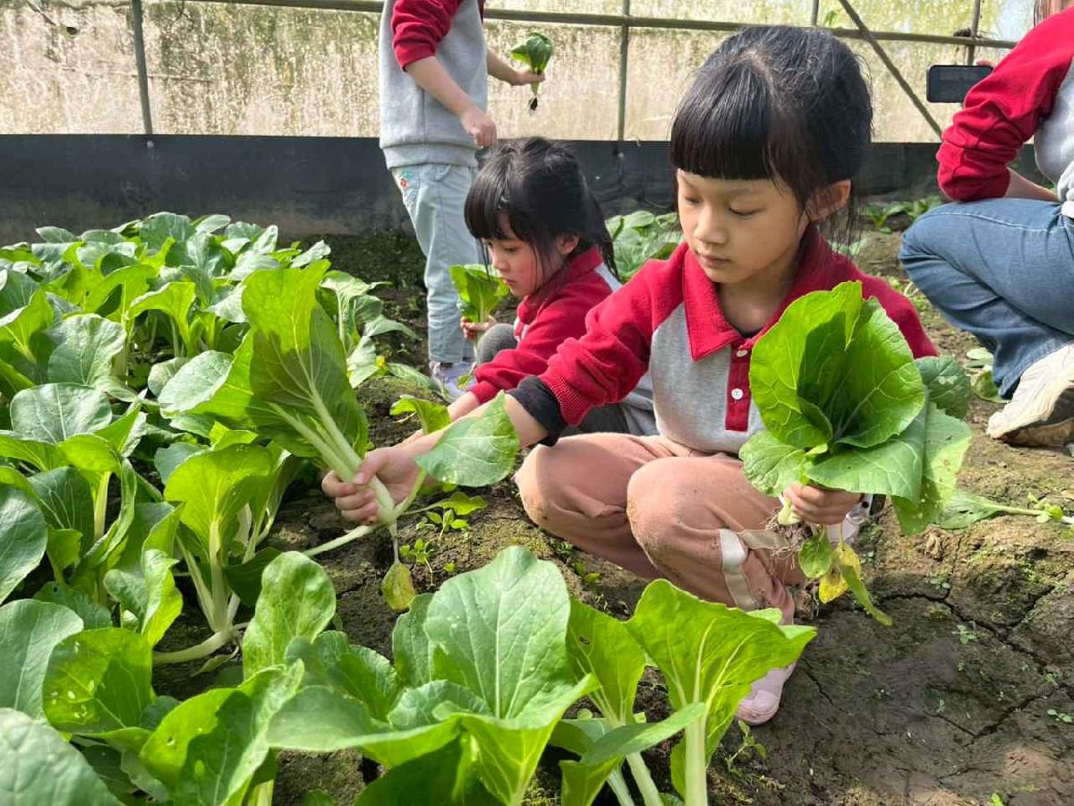 line_album_1150119頤禾園農田體驗_260119_52