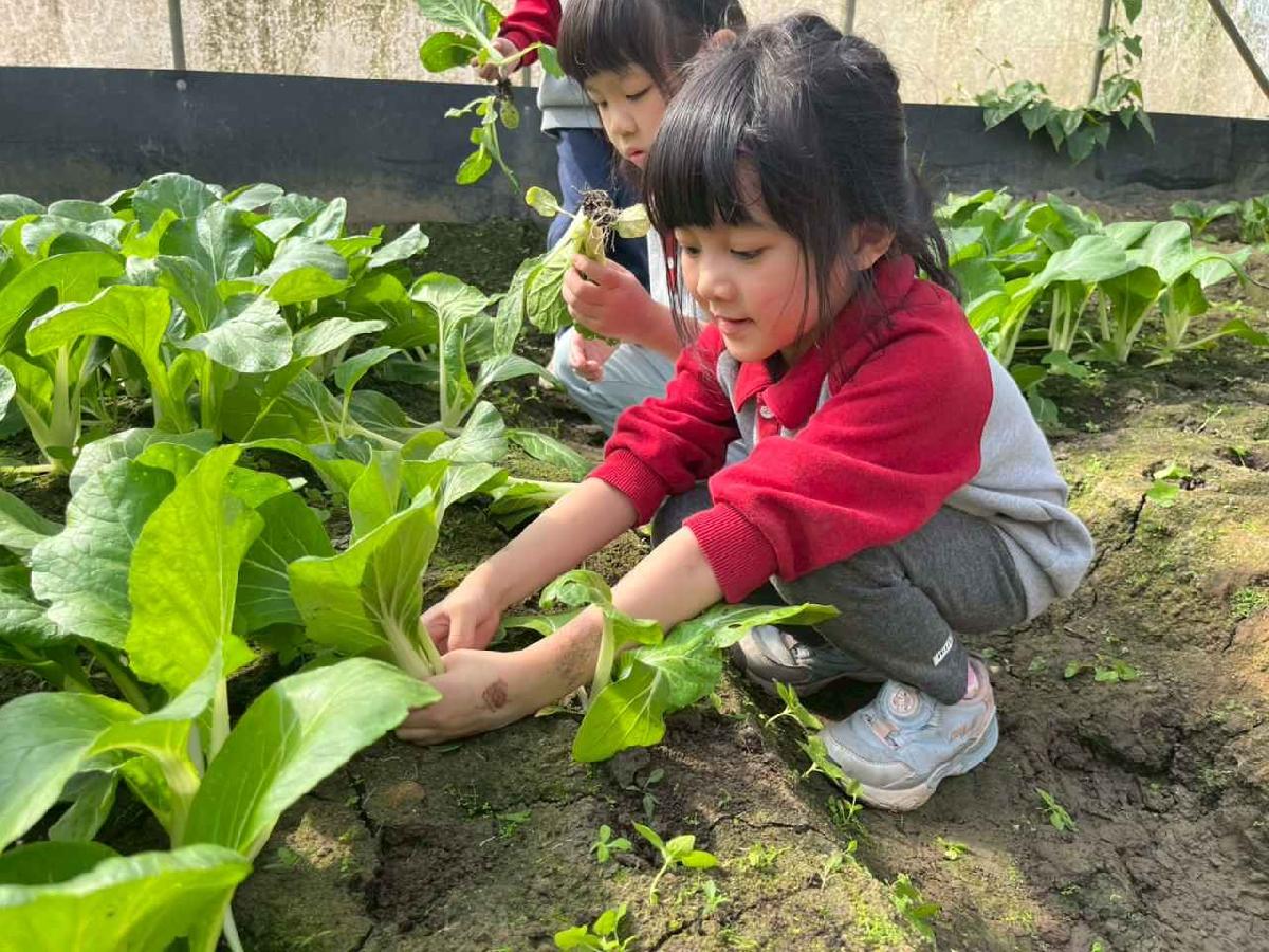 line_album_1150119頤禾園農田體驗_260119_53