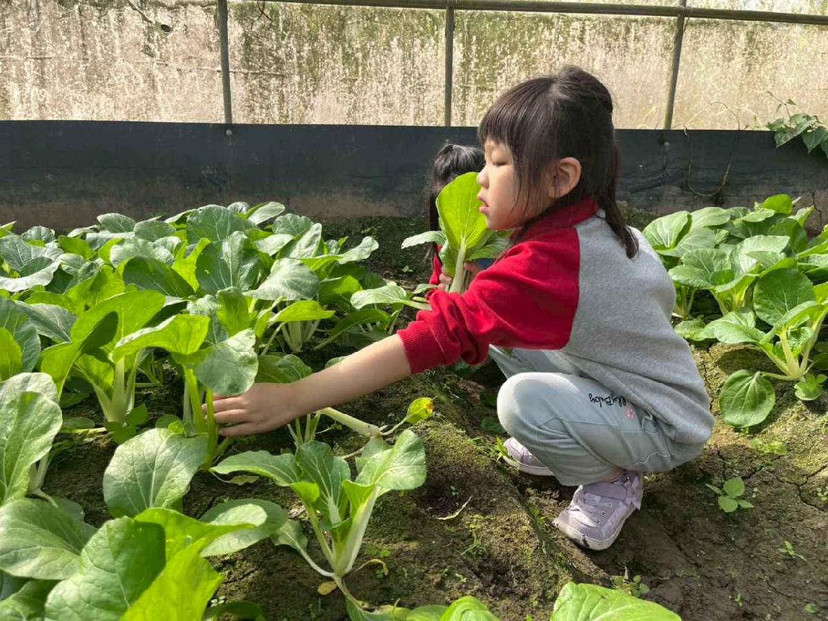 line_album_1150119頤禾園農田體驗_260119_57