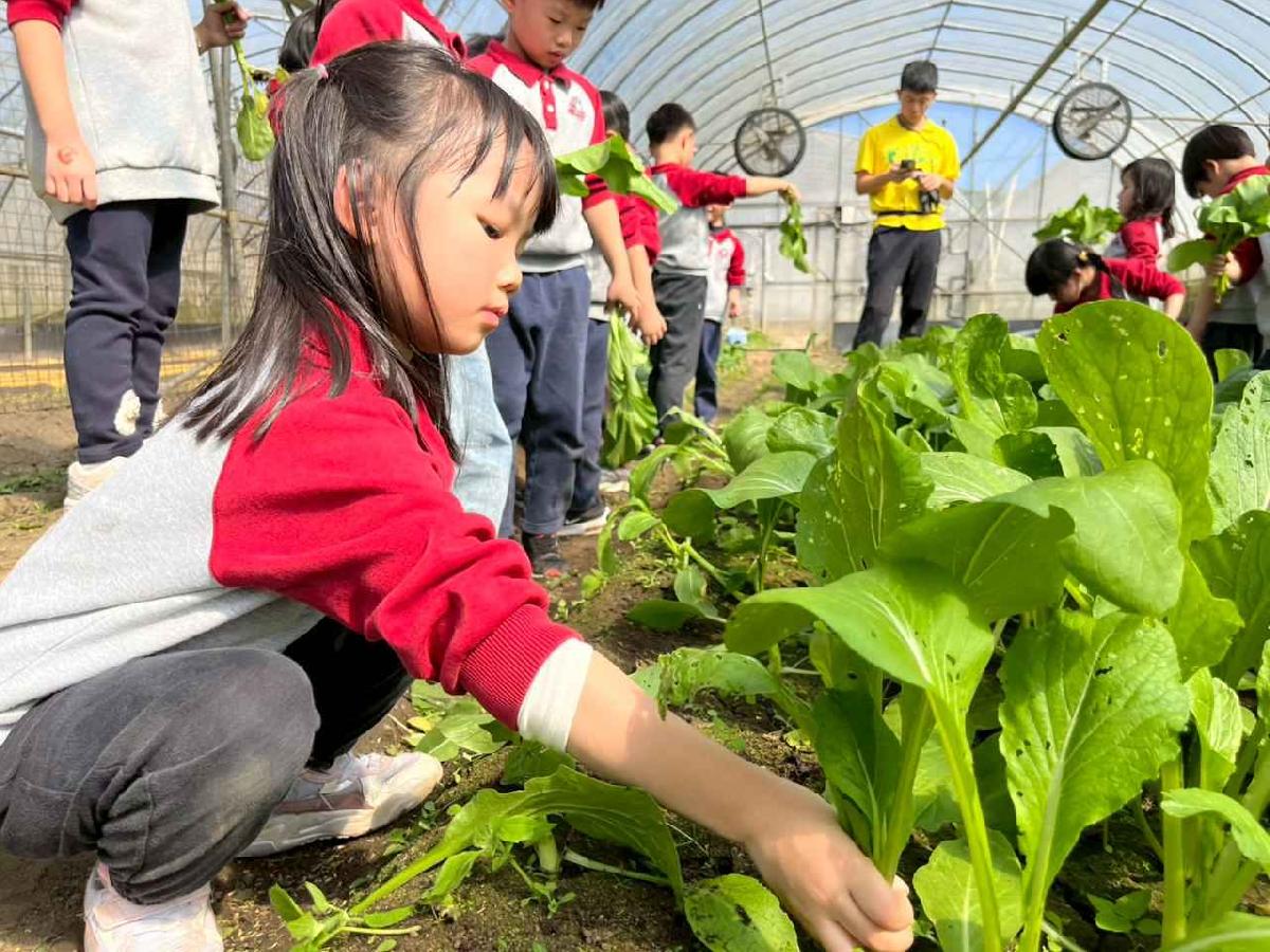 line_album_1150119頤禾園農田體驗_260119_61