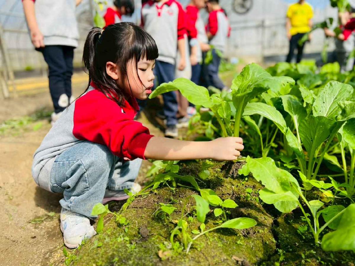 line_album_1150119頤禾園農田體驗_260119_63