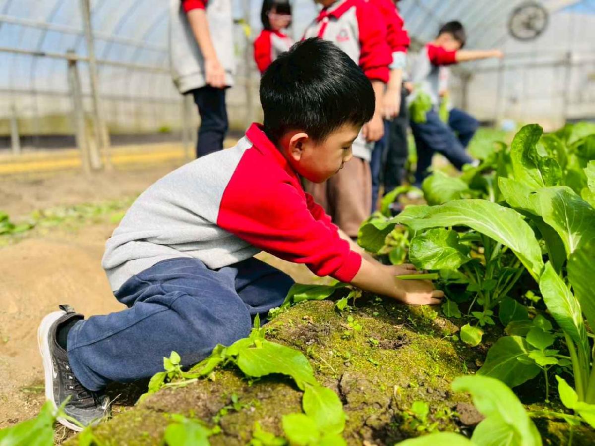 line_album_1150119頤禾園農田體驗_260119_66