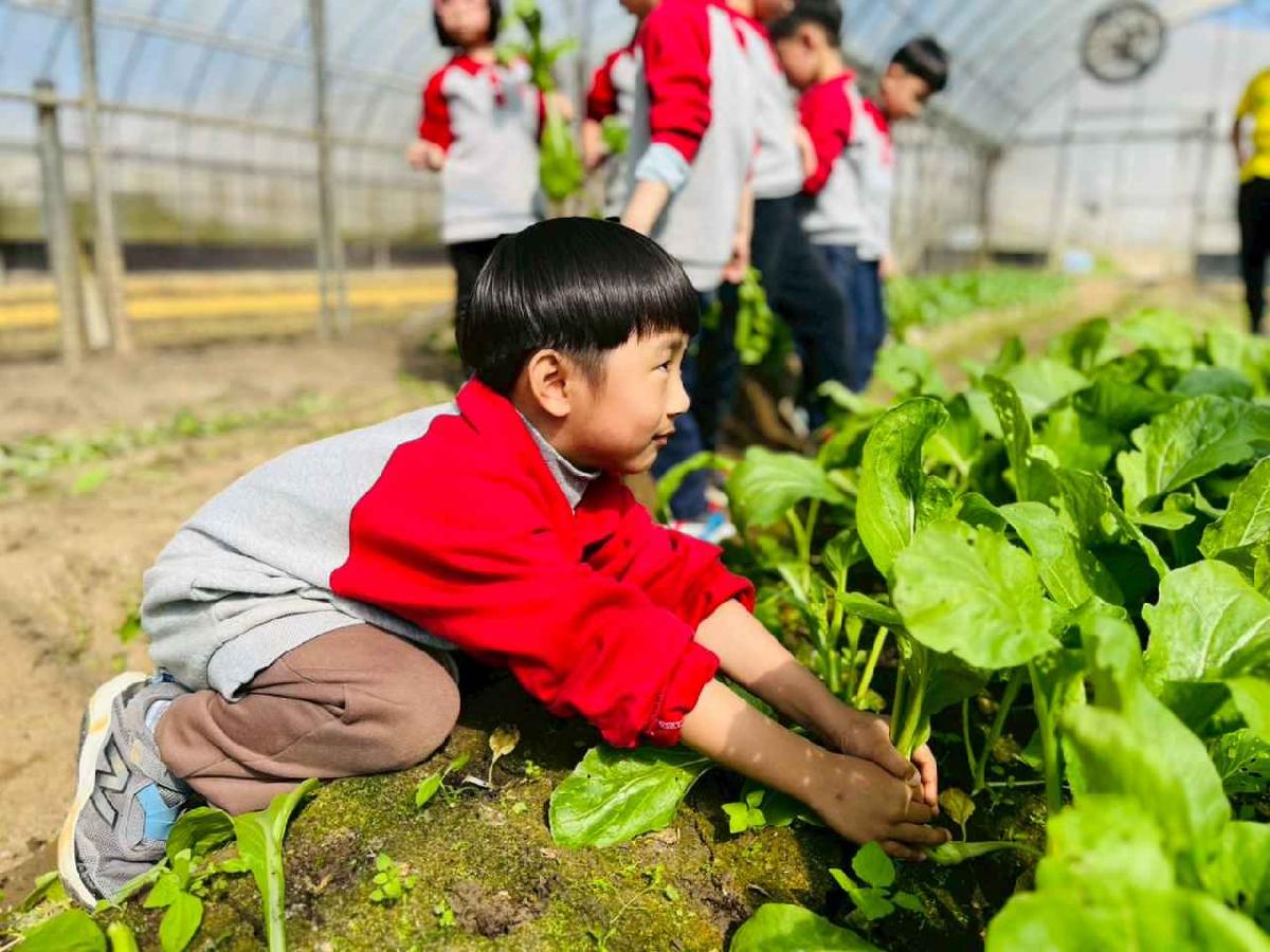 line_album_1150119頤禾園農田體驗_260119_70