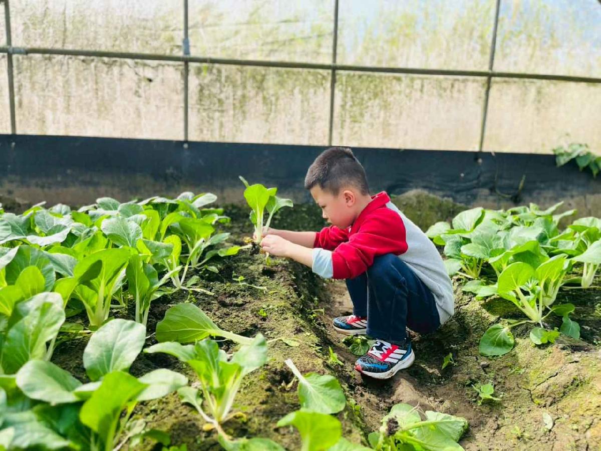 line_album_1150119頤禾園農田體驗_260119_71