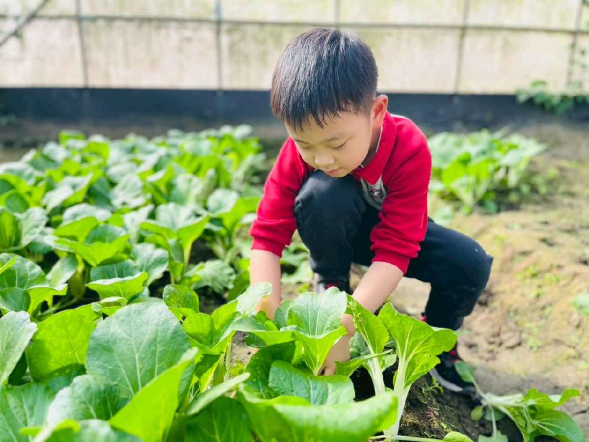 line_album_1150119頤禾園農田體驗_260119_73