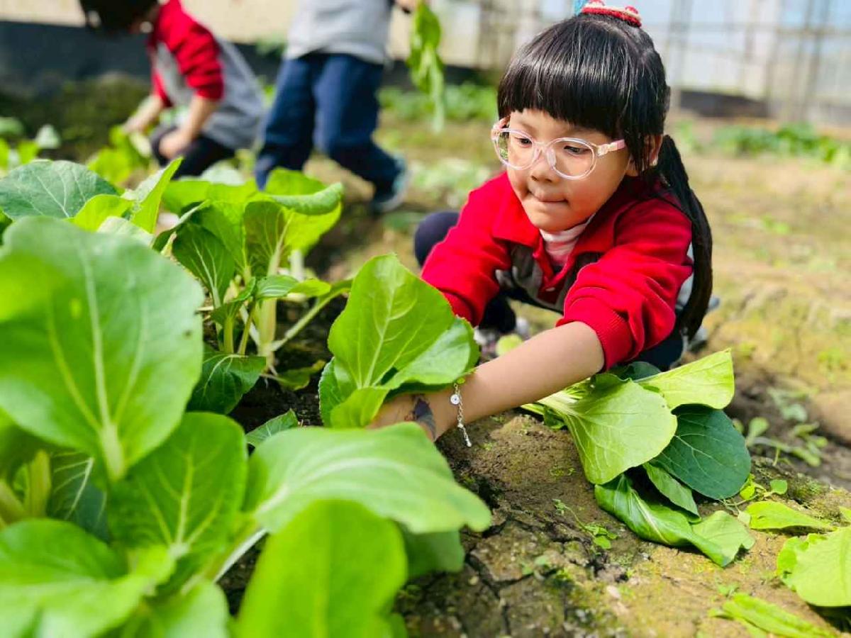 line_album_1150119頤禾園農田體驗_260119_77