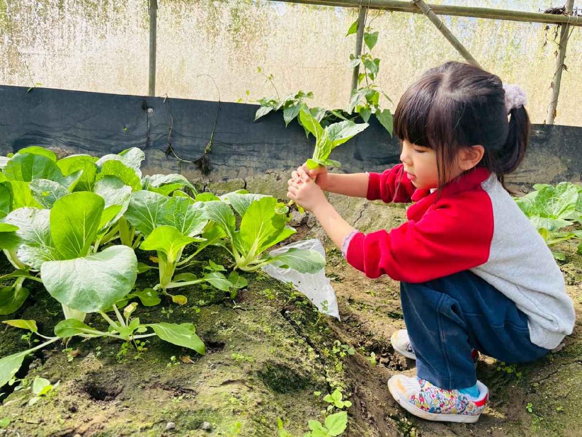 line_album_1150119頤禾園農田體驗_260119_429