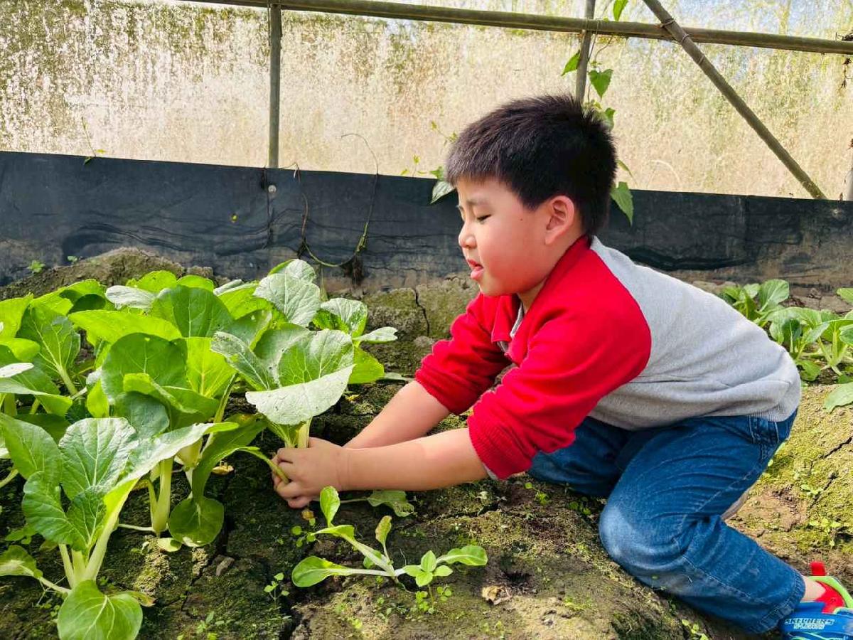 line_album_1150119頤禾園農田體驗_260119_452