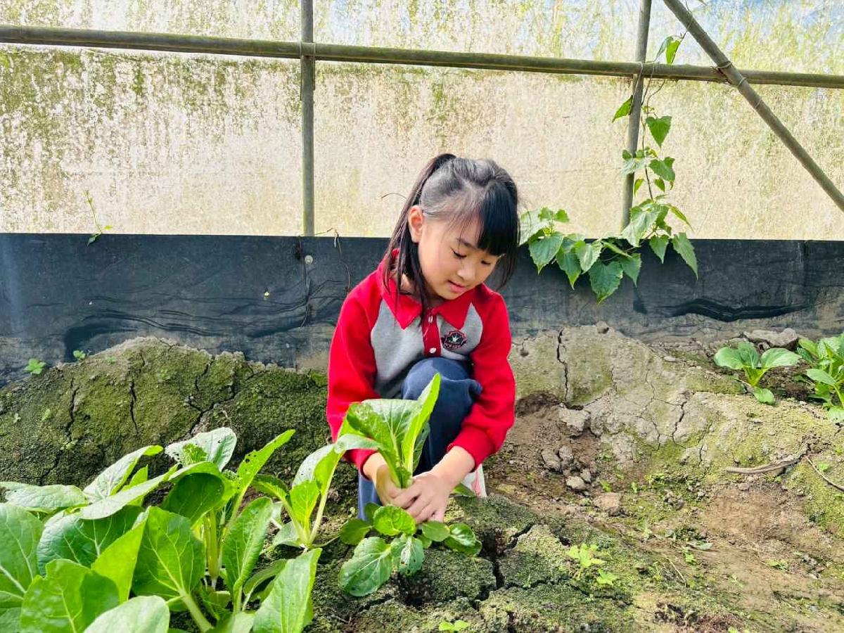 line_album_1150119頤禾園農田體驗_260119_471