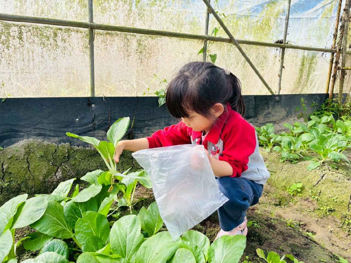 line_album_1150119頤禾園農田體驗_260119_475