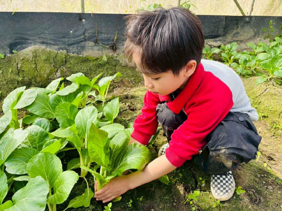 line_album_1150119頤禾園農田體驗_260119_477