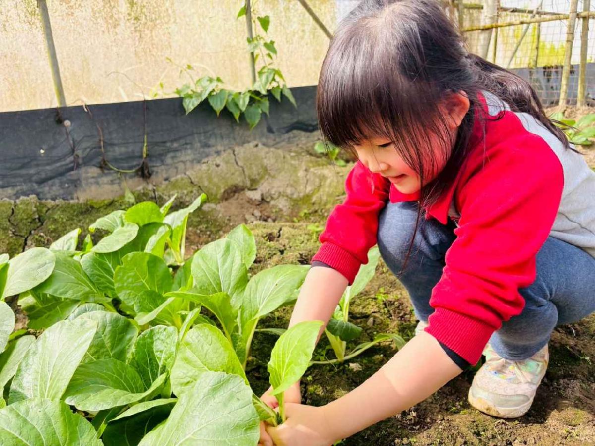 line_album_1150119頤禾園農田體驗_260119_482