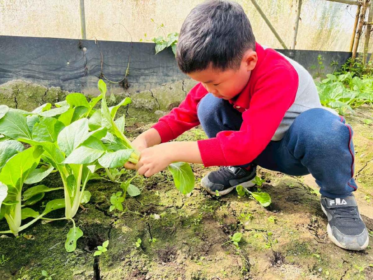 line_album_1150119頤禾園農田體驗_260119_485