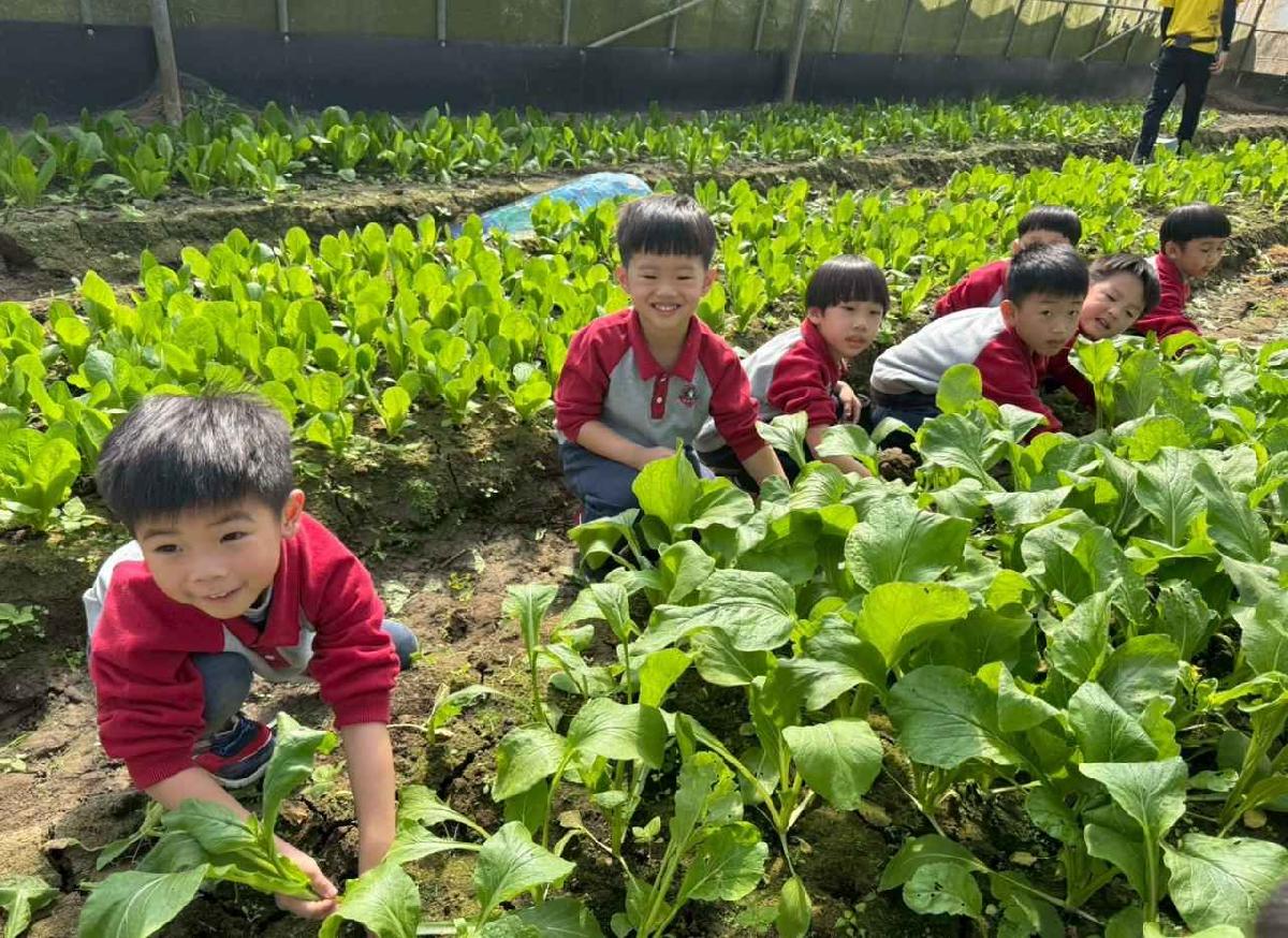 line_album_1150119頤禾園農田體驗_260119_647