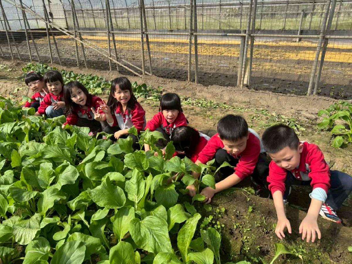 line_album_1150119頤禾園農田體驗_260119_650