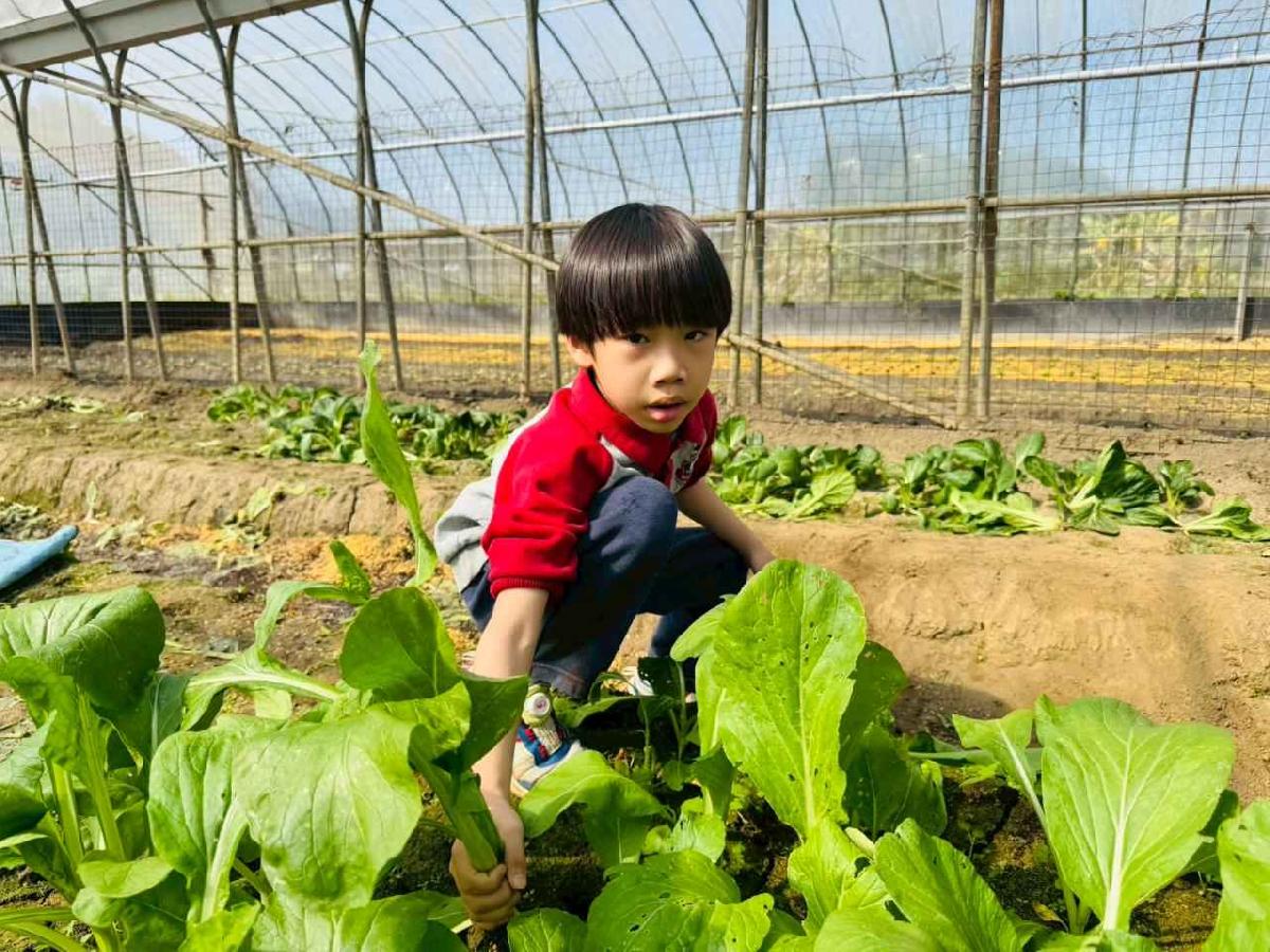 line_album_1150119頤禾園農田體驗_260119_658