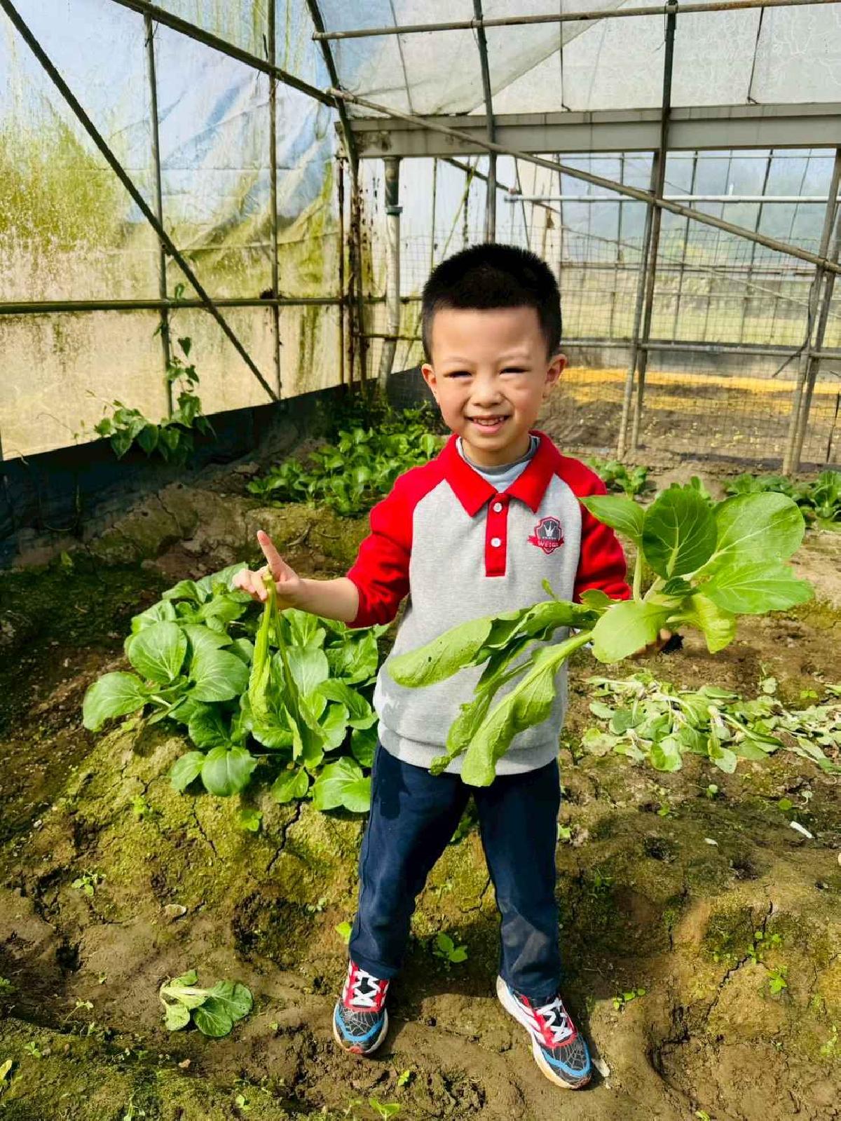 line_album_1150119頤禾園農田體驗_260119_682