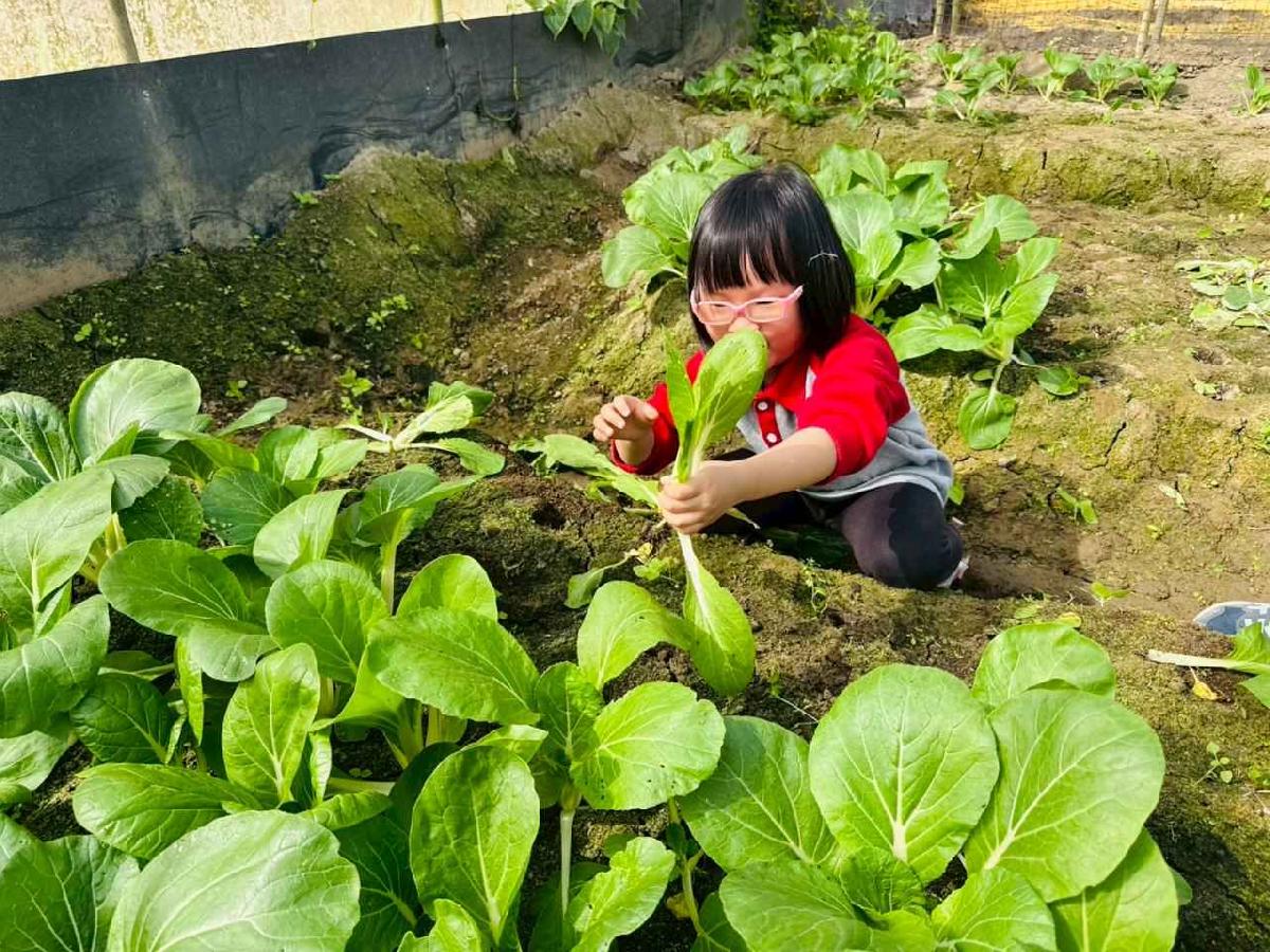 line_album_1150119頤禾園農田體驗_260119_696