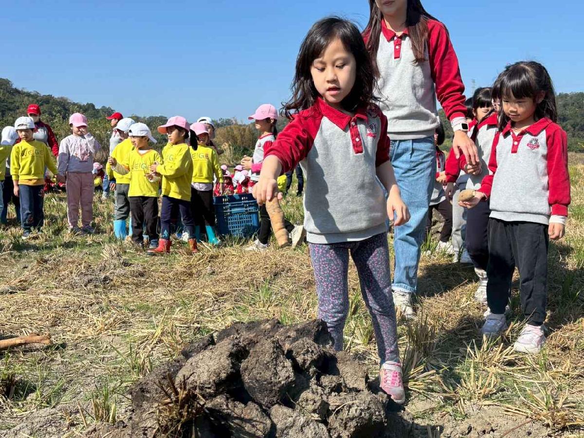 line_album_1150119頤禾園農田體驗_260119_333