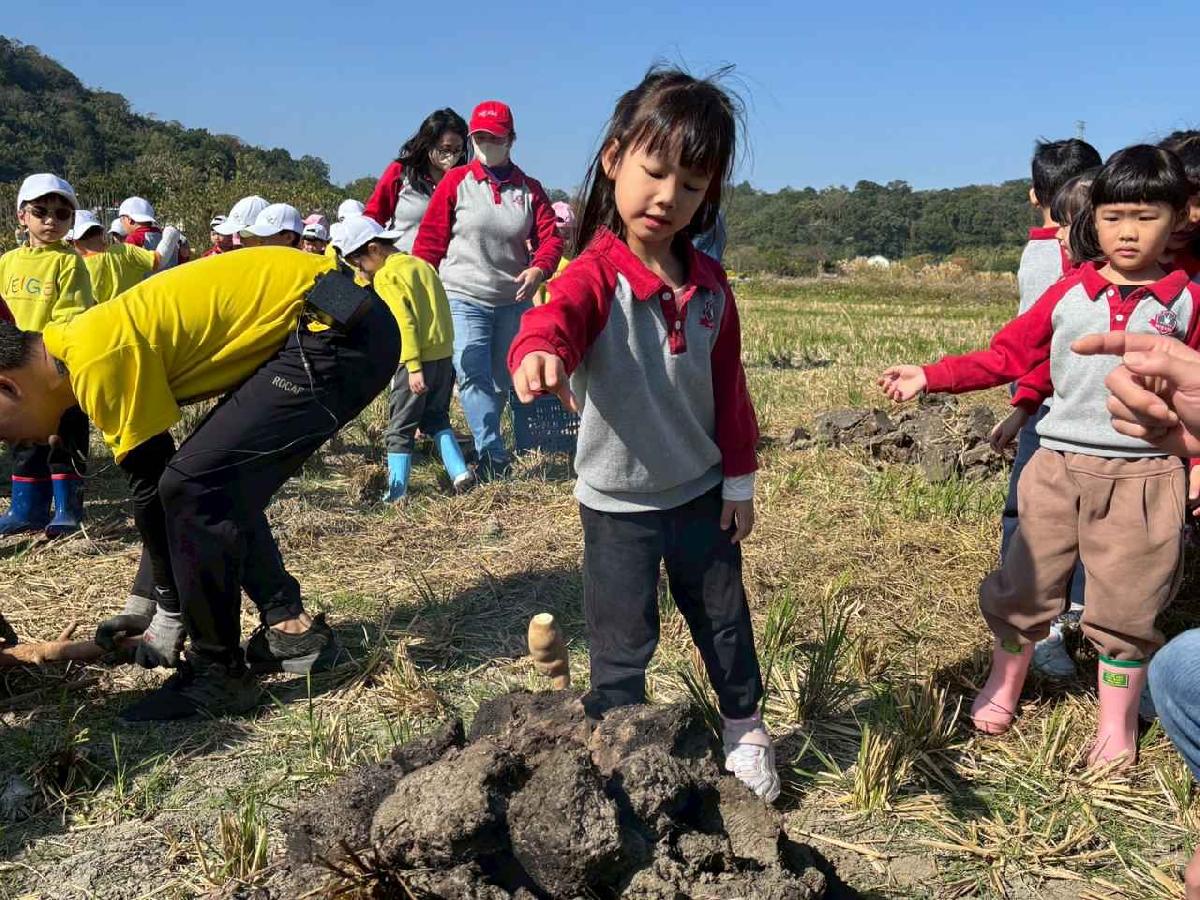 line_album_1150119頤禾園農田體驗_260119_340