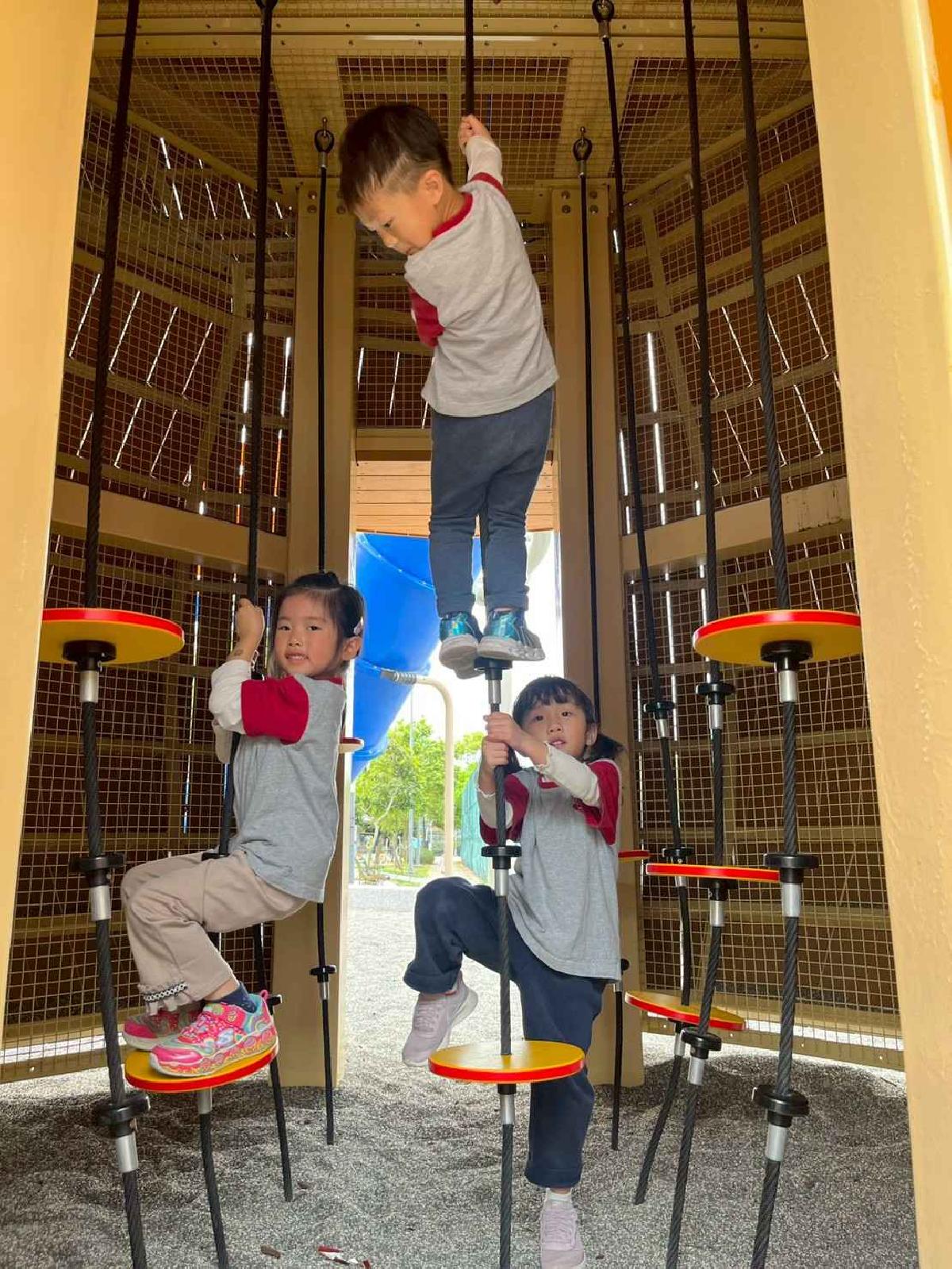 line_album_1150326柿子公園_260326_169