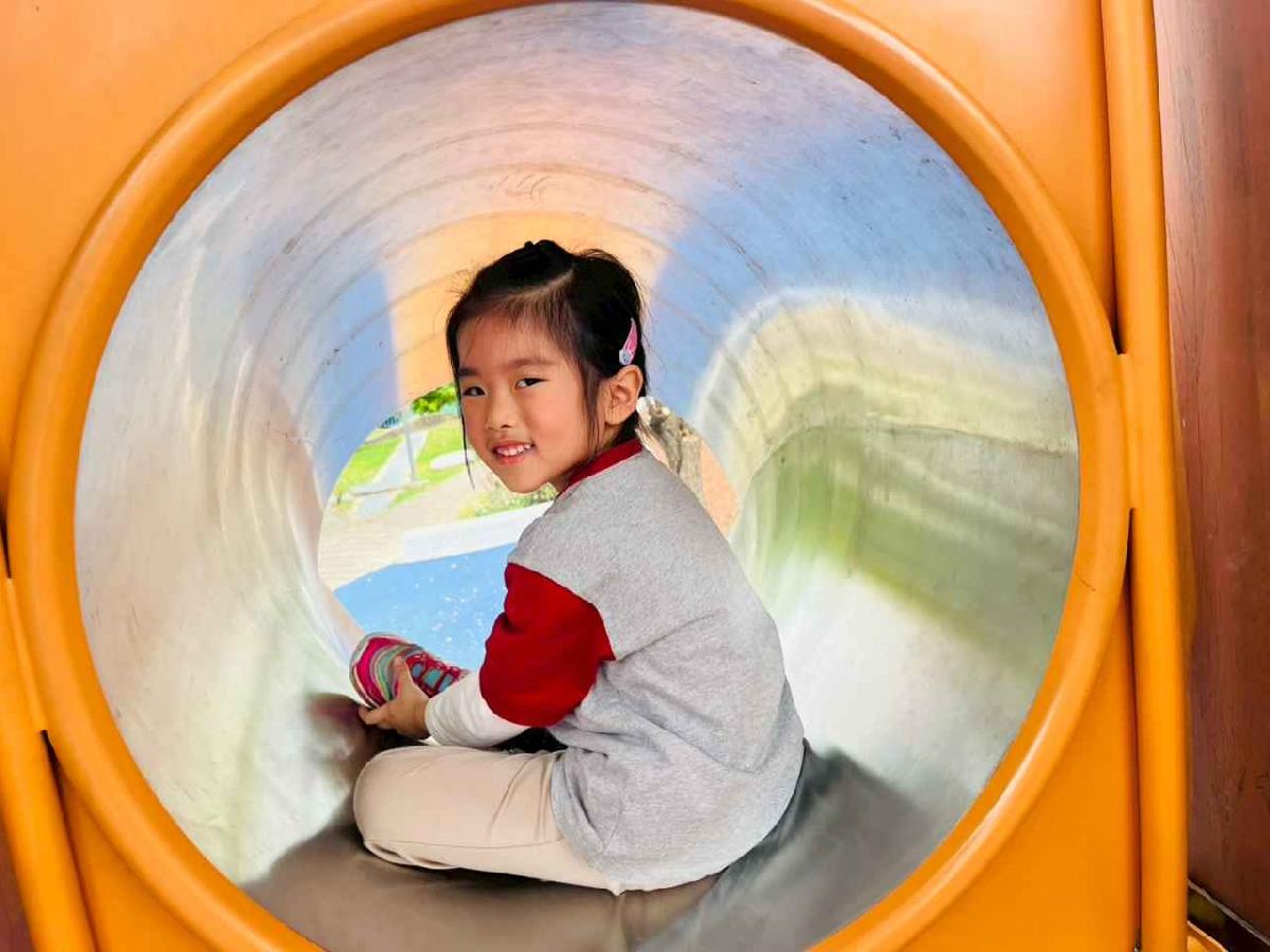 line_album_1150326柿子公園_260326_197