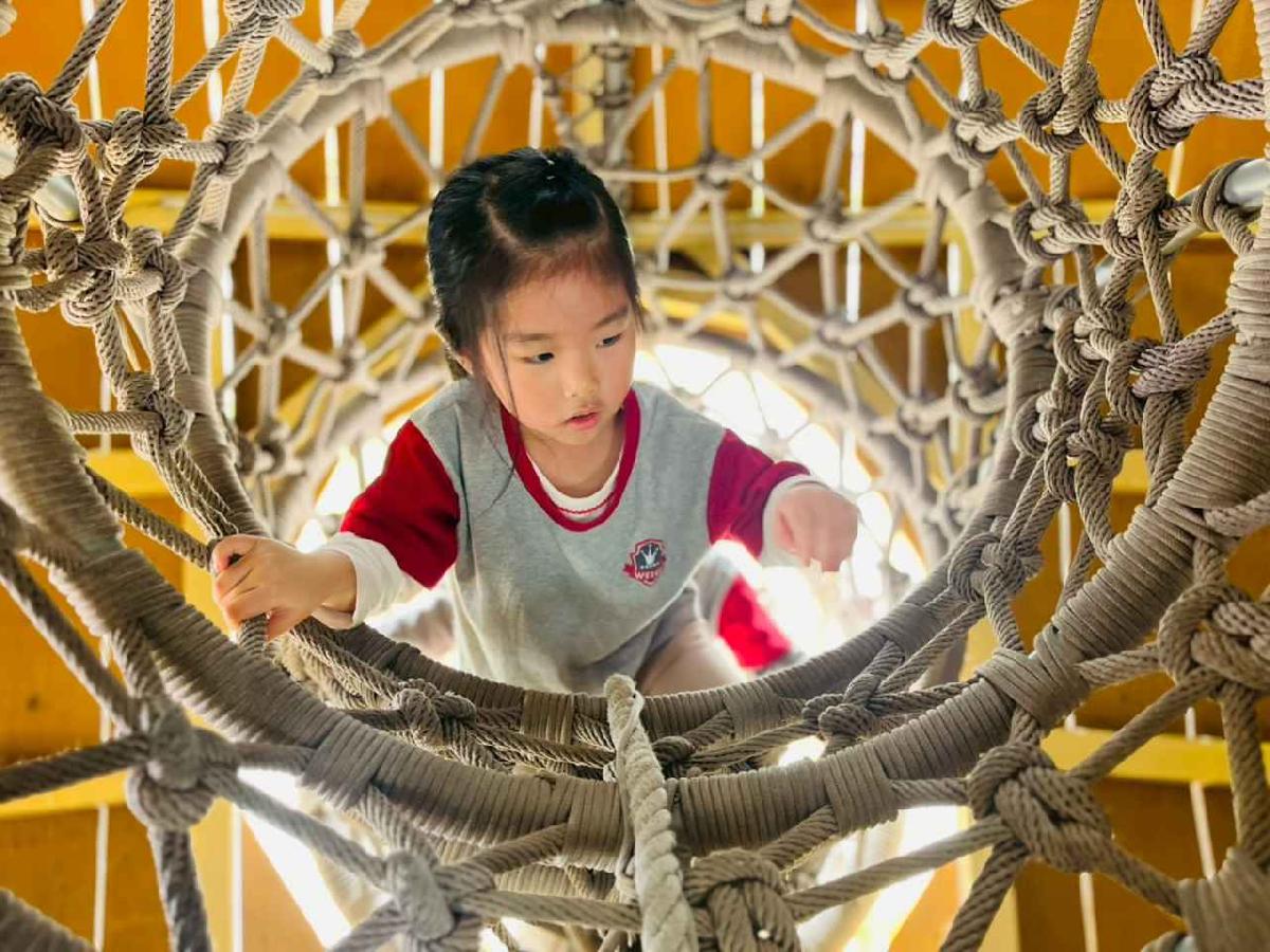 line_album_1150326柿子公園_260326_216