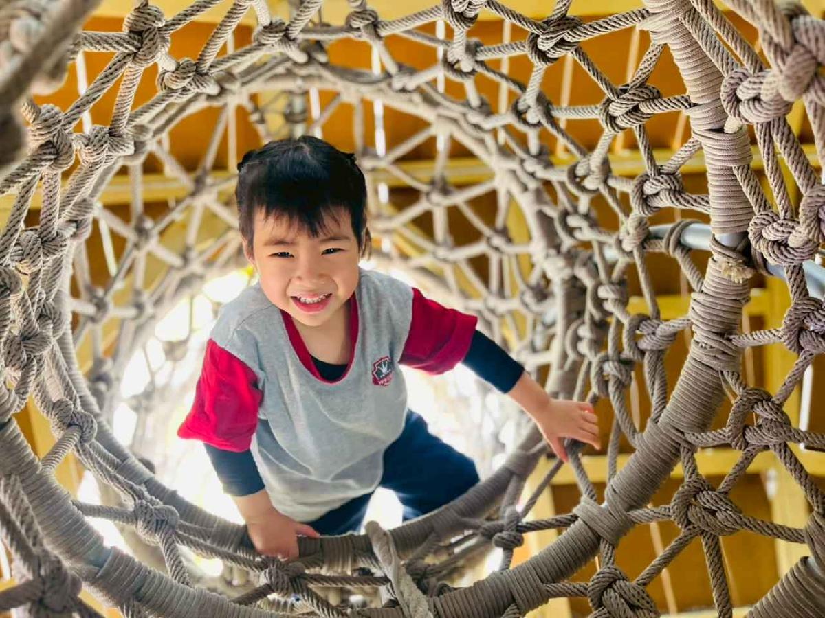 line_album_1150326柿子公園_260326_224