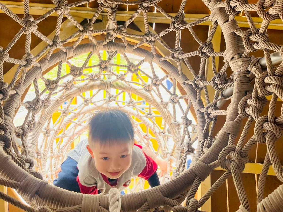 line_album_1150326柿子公園_260326_227