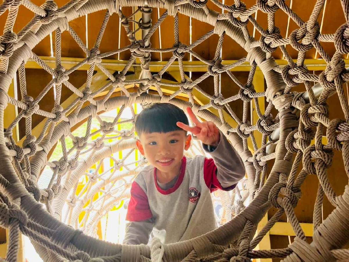 line_album_1150326柿子公園_260326_229