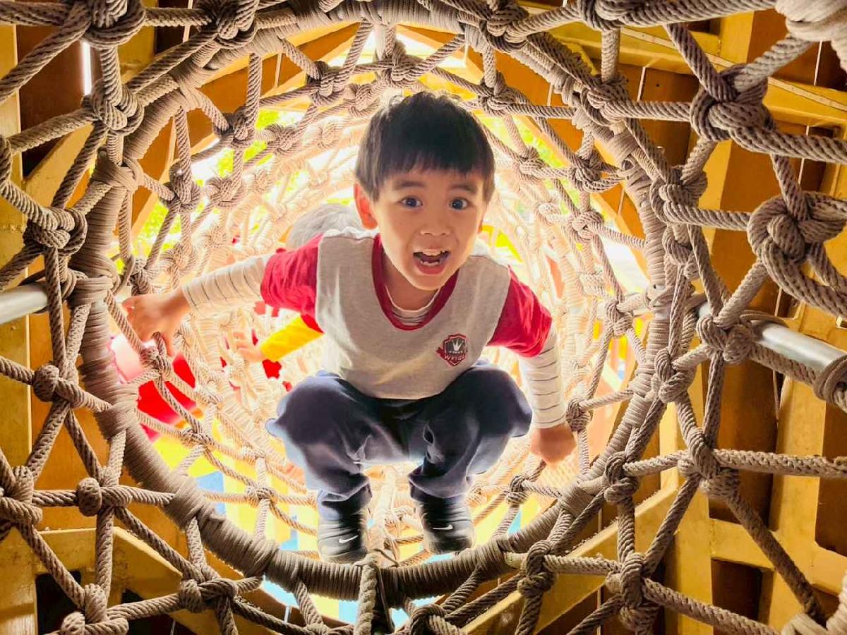 line_album_1150326柿子公園_260326_238