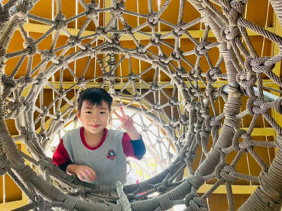 line_album_1150326柿子公園_260326_239