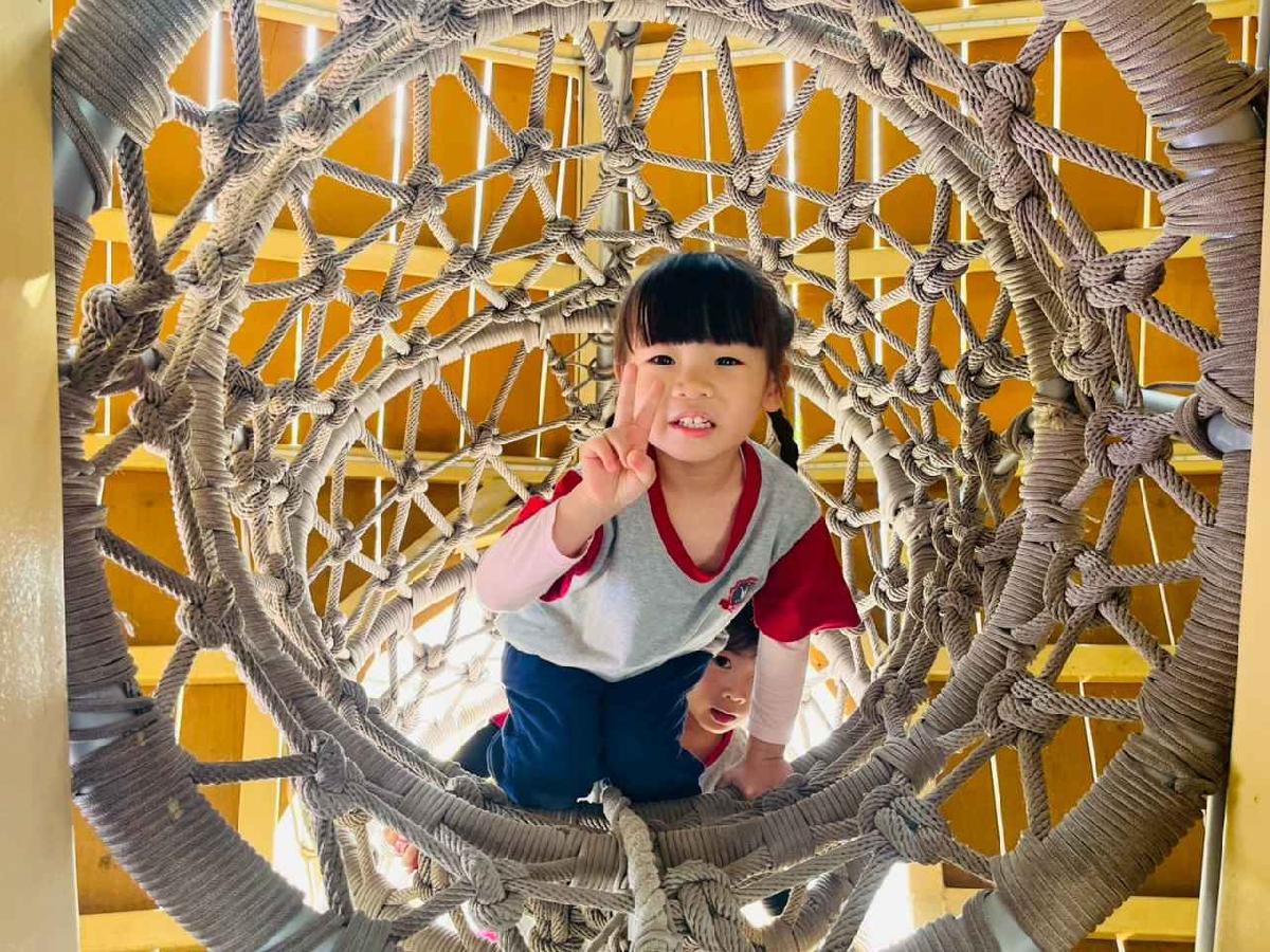 line_album_1150326柿子公園_260326_241